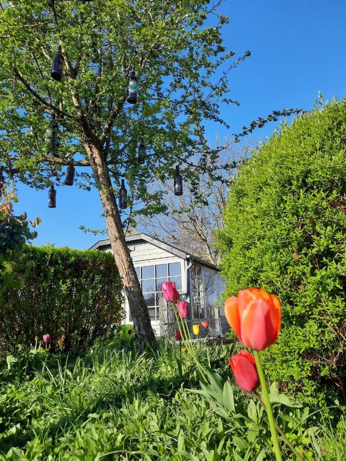 Bed and Breakfast La Vieille Forge Houffalize Exterior foto